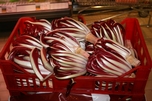 radicchio